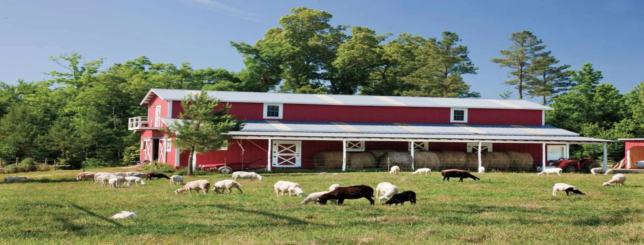 Image for Farm Stay